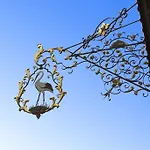 Flair Zum Storchen