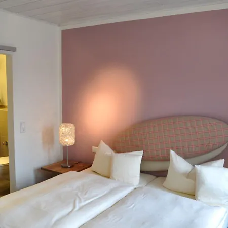 호텔 Flair Zum Storchen